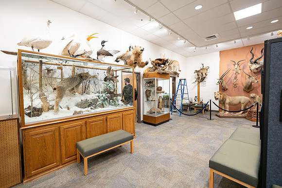 Wildlife Museum - Mar 2026