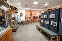 Wildlife Museum - Mar 2026