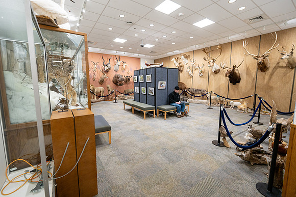 Wildlife Museum - Mar 2026