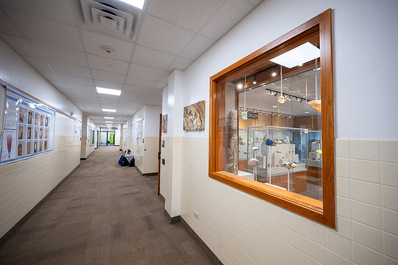 Romney Building Hallway Exhibits - Mar 2026