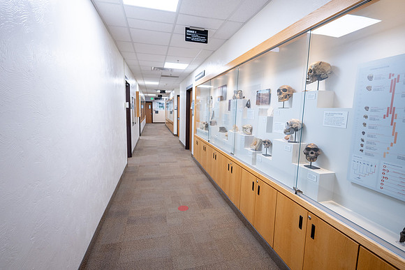 Romney Building Hallway Exhibits - Mar 2026