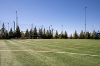 Upper Fields Photo - March 2026