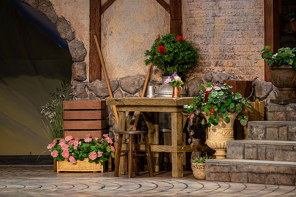 The Elixir of Love Opera - Mar 2026