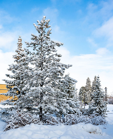 Campus - Snow Day - Jan 2023