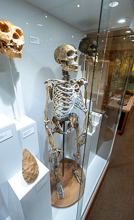 Geology Exhibit - Mar. 2026