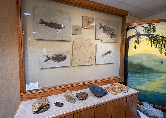 Geology Exhibit - Mar. 2026