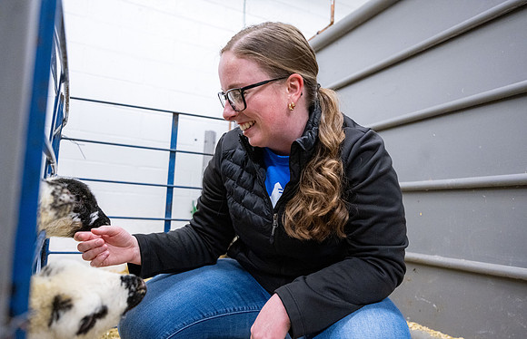 Feeding Lambs - Mar. 2026