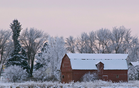 A frosty morning framed in a Red Barn between Rexburg and Sugar City.