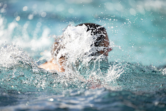 WinterFest Polar Plunge - Feb. 2026