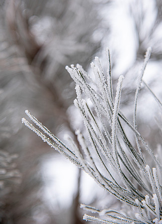 Campus - Frost - Jan 2023