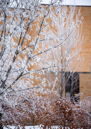 Campus - Frost - Jan 2023