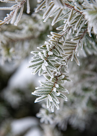 Campus - Frost - Jan 2023