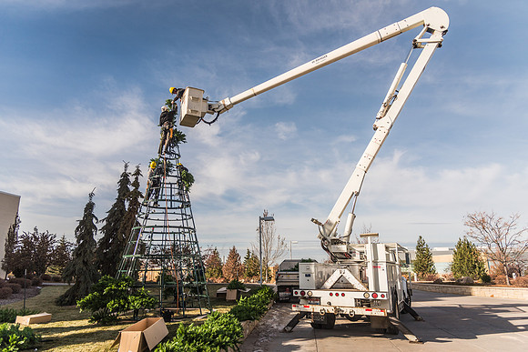 The BYU-Idaho ground keeping crew set up a christmas tree in front of the Taylor chapel. Fall Semester.