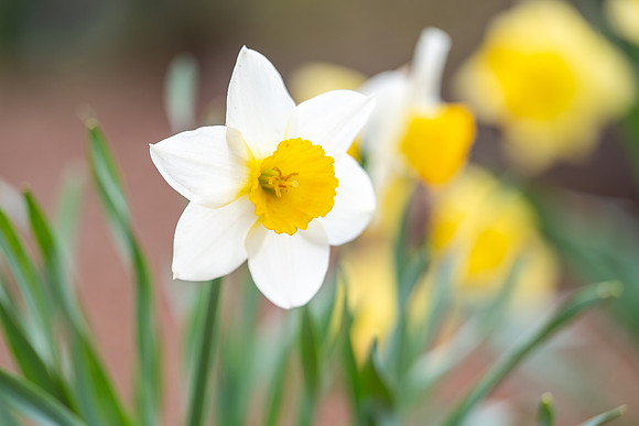 Spring Break - Apr 2026