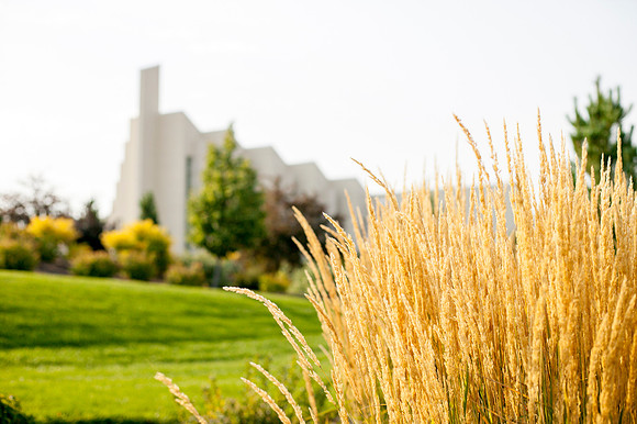 A look of the Taylor Building during the Summer Semester.