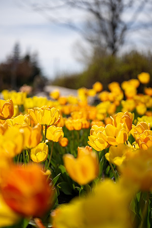 First Day - April 2026