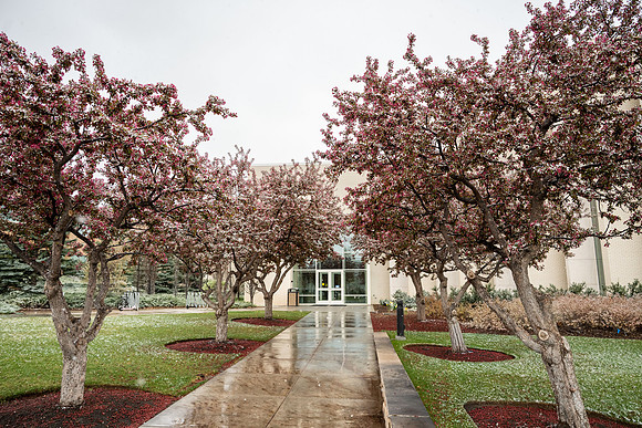Snow And Students On Campus- April 2026