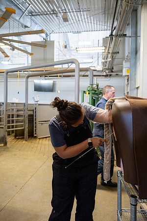 Animal Science - April 2026