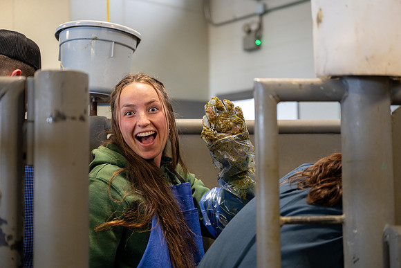 Animal Science - April 2026