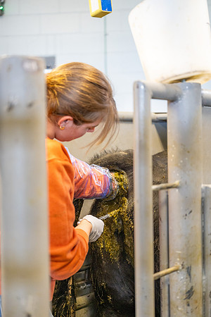 Animal Science - April 2026