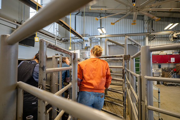 Animal Science - April 2026