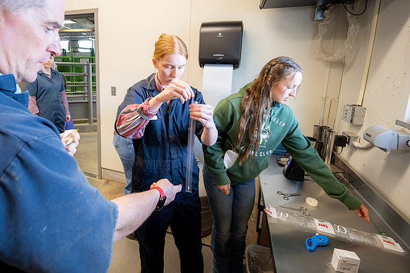 Animal Science Cow AI - April 2026