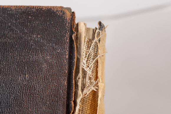 Special Collections Items - Apr 2026