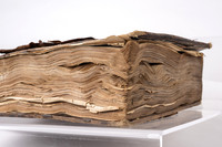 Special Collections Items - Apr 2026