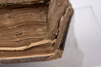 Special Collections Items - Apr 2026
