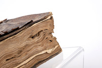 Special Collections Items - Apr 2026