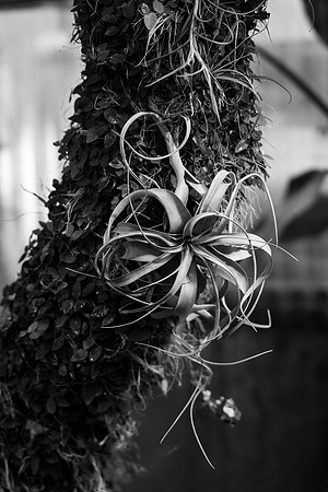 Nature on Campus - Aug 2024
