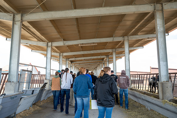 Cow Class - April 2026