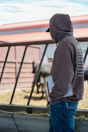 Cow Class - April 2026