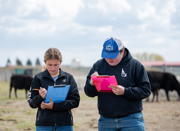 Cow Class - April 2026