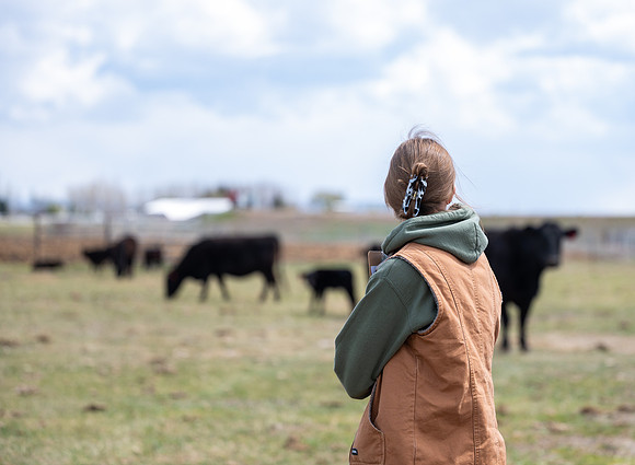Cow Class - April 2026