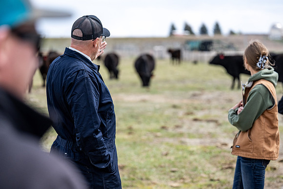 Cow Class - April 2026
