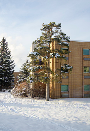 Snowfall stays on campus.