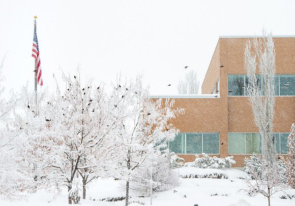 Campus on a snowy day.