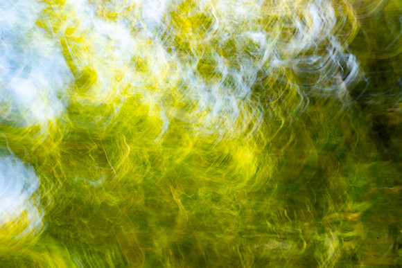 Nature Motion Blur - May  2026