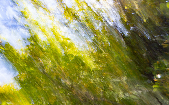 Nature Motion Blur - May  2026