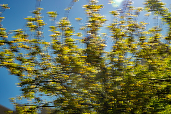 Nature Motion Blur - May  2026