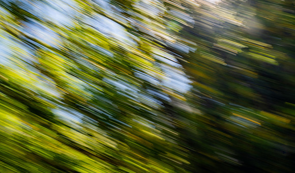 Nature Motion Blur - May  2026