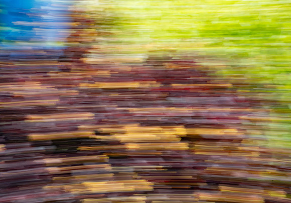 Nature Motion Blur - May  2026