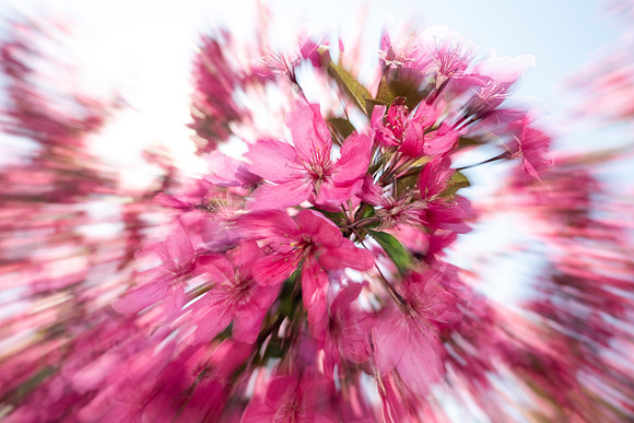 Nature Motion Blur - May 2026