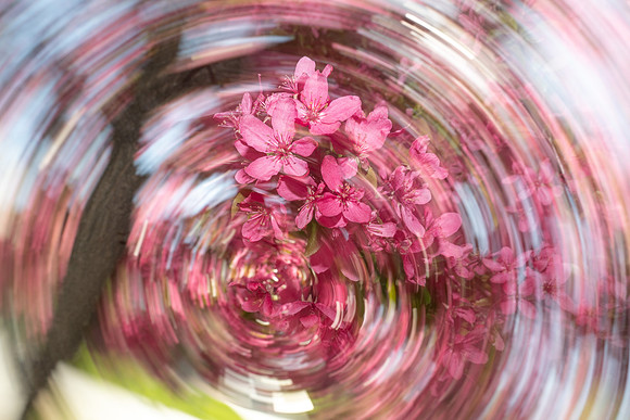 Nature Motion Blur - May 2026