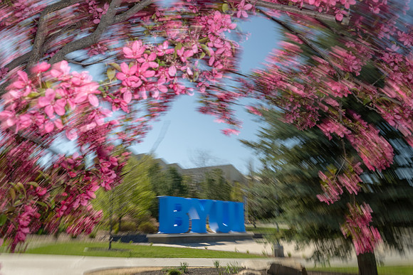 Nature Motion Blur - May 2026