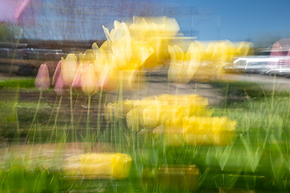 Nature Motion Blur - May 2026