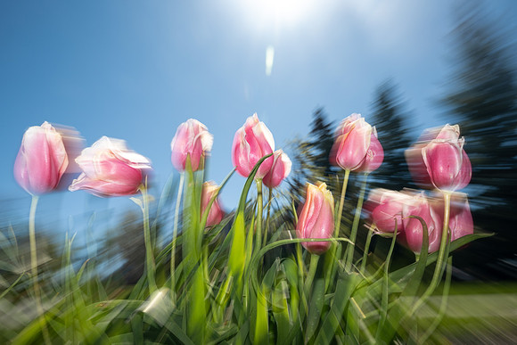 Nature Motion Blur - May 2026