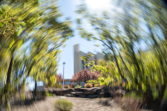 Nature Motion Blur - May 2026
