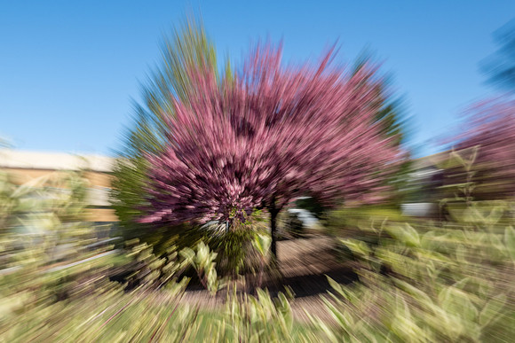 Nature Motion Blur - May 2026